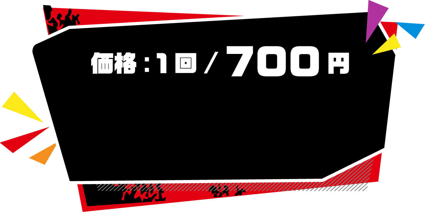 価格：1回 / 700円