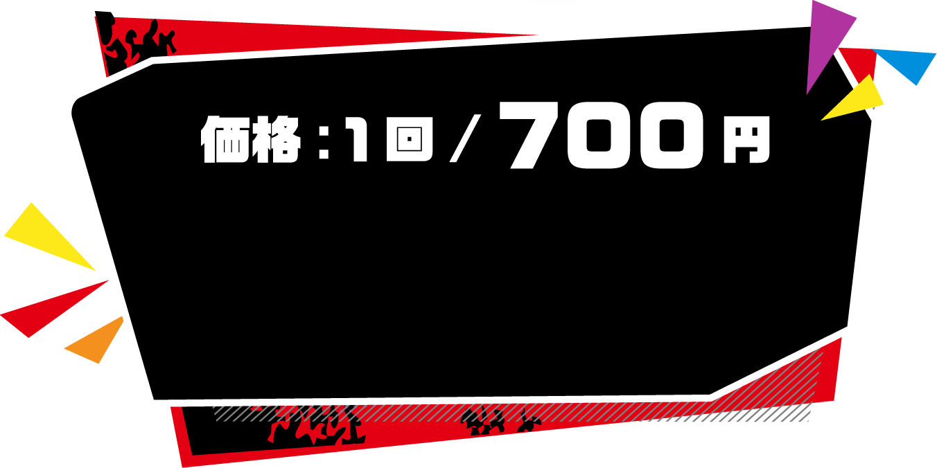 価格：1回 / 700円