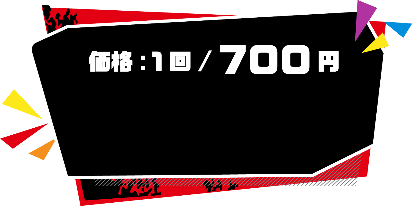 価格：1回 / 700円