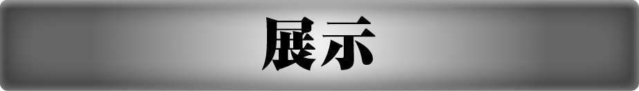 展示