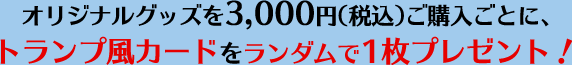 オリジナルグッズを3,000円（税込）ご購入ごとに、トランプ風カードをランダムで1枚プレゼント！