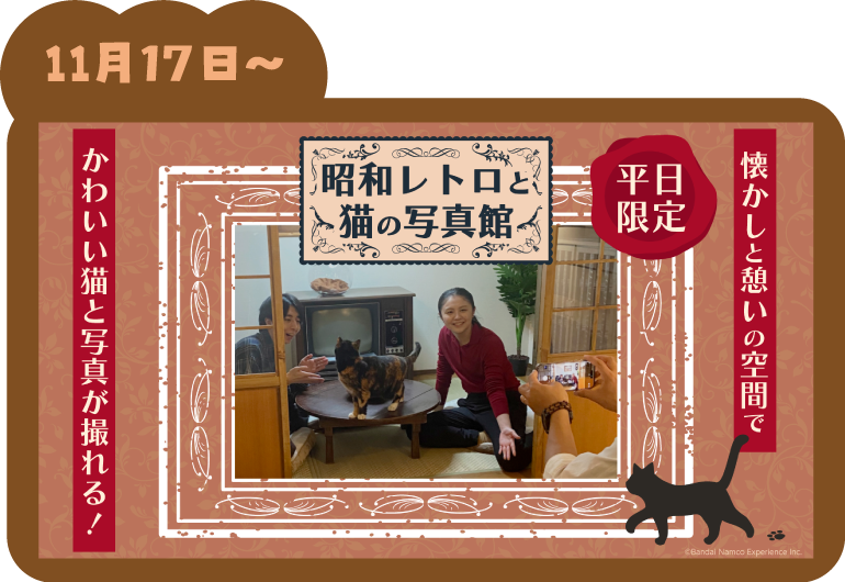 『昭和レトロと猫の写真館』