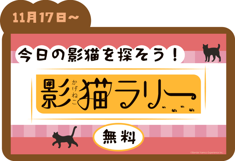 『影猫ラリー』