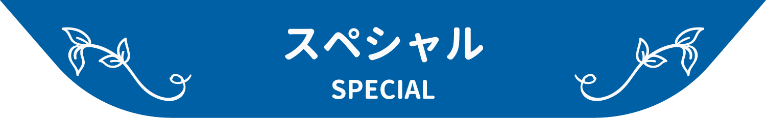 スペシャル