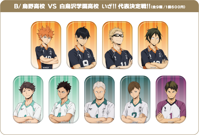B/烏野高校 VS 白鳥沢学園高校 いざ!!代表決定戦!!