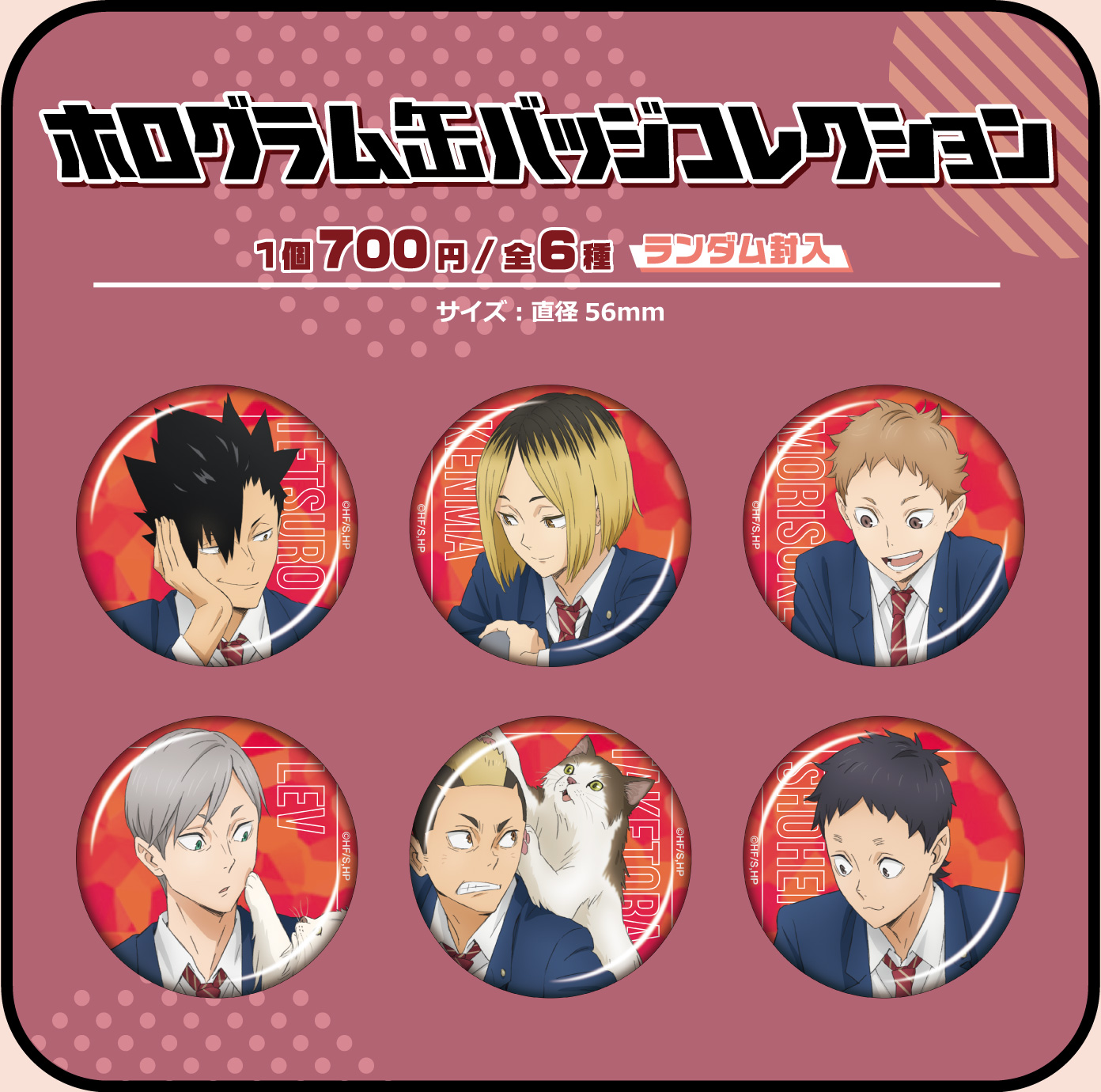 ホログラム缶バッジコレクション