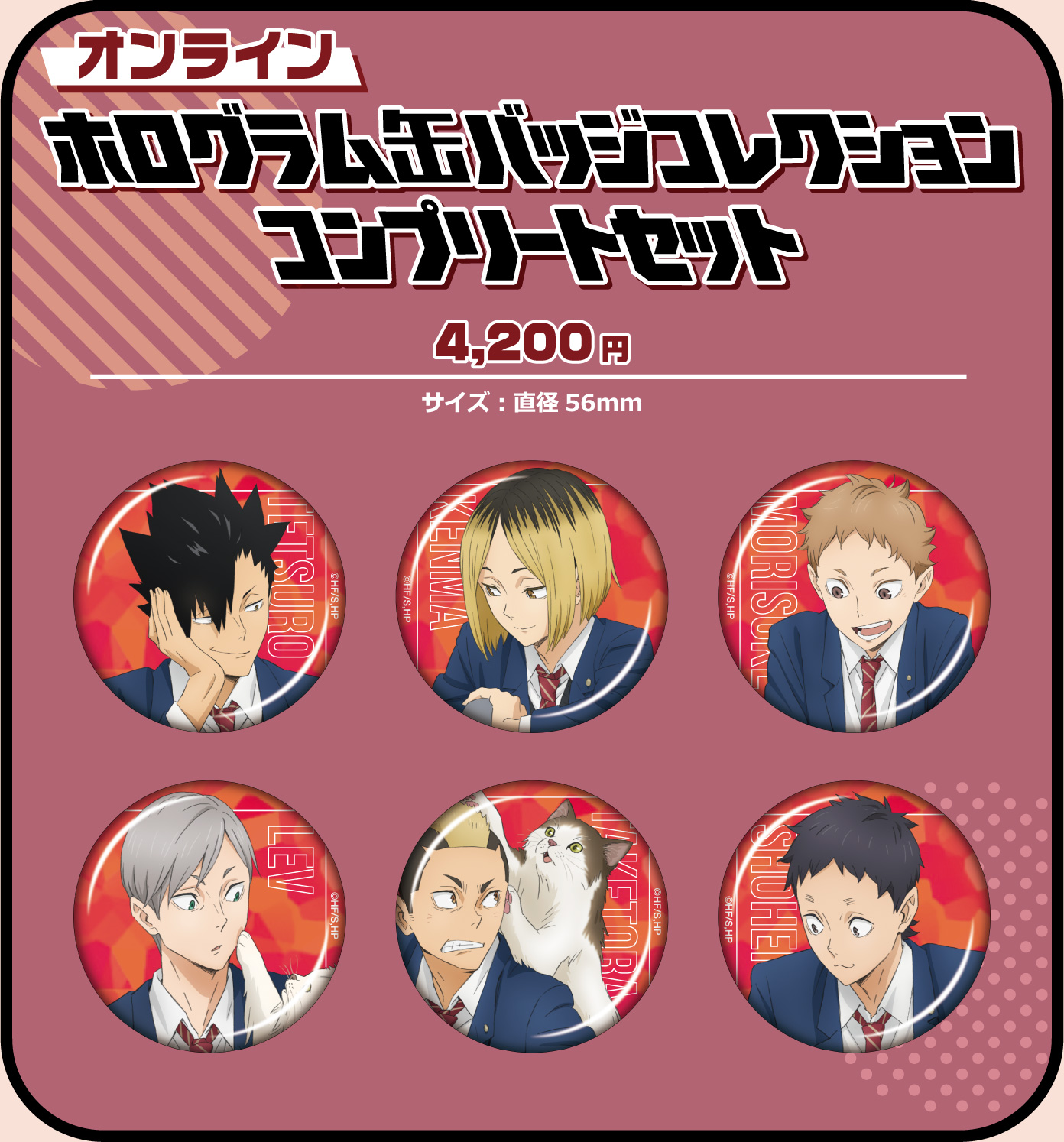 [オンライン] ホログラム缶バッジコレクション コンプリートセット