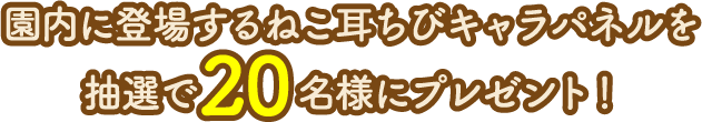 園内に登場するねこ耳ちびキャラパネルを抽選で20名様にプレゼント！