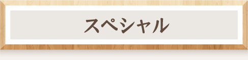 スペシャル