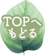 TOPへもどる