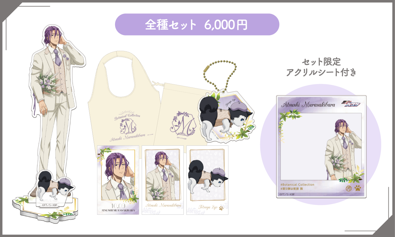 全種セット