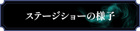 ステージショーの様子