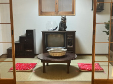 平日限定 和室写真撮影サービス