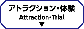 アトラクション・体験