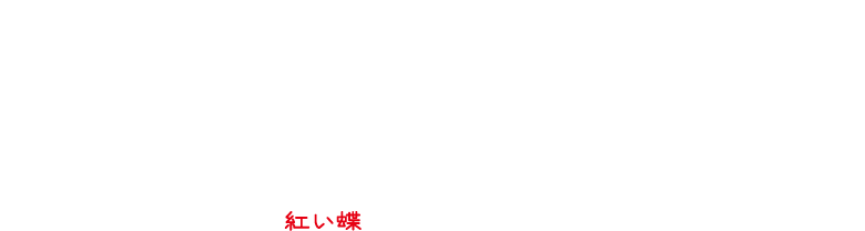 深い山の中…道に迷ったあなたは、古びた村へと迷い込んでしまう。
																  そこは「皆神村」。
																  ある祭の夜に忽然と消えたことから「地図から消えた村」と呼ばれた場所。
																  怨霊蠢く村の屋敷に入ったあなたは、呪われた村からの脱出を試みる…
																  紅い蝶があなたを導いてくれる